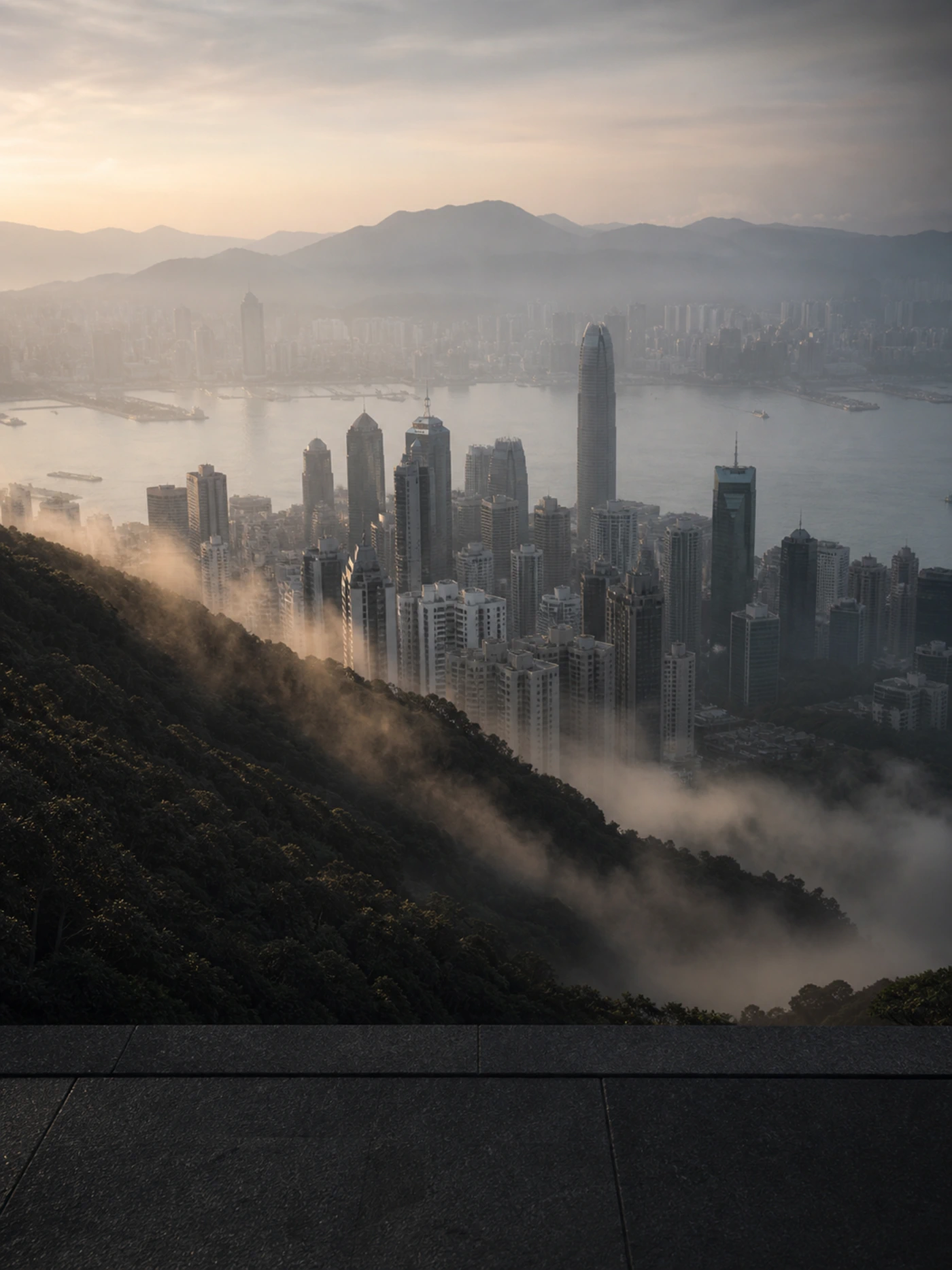 Blick vom Victoria Peak über grüne Bergflanken auf Hafen und Stadt im Morgendunst